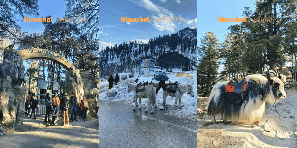 The Ultimate Himalayan Road Trip